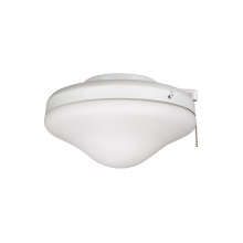 Craftmade ELK113-1W-W - Opal Frost Bowl Light Kit w/2x9w LED, Wet Rated