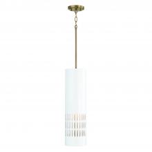 Capital 350211AW - 1-Light Pendant