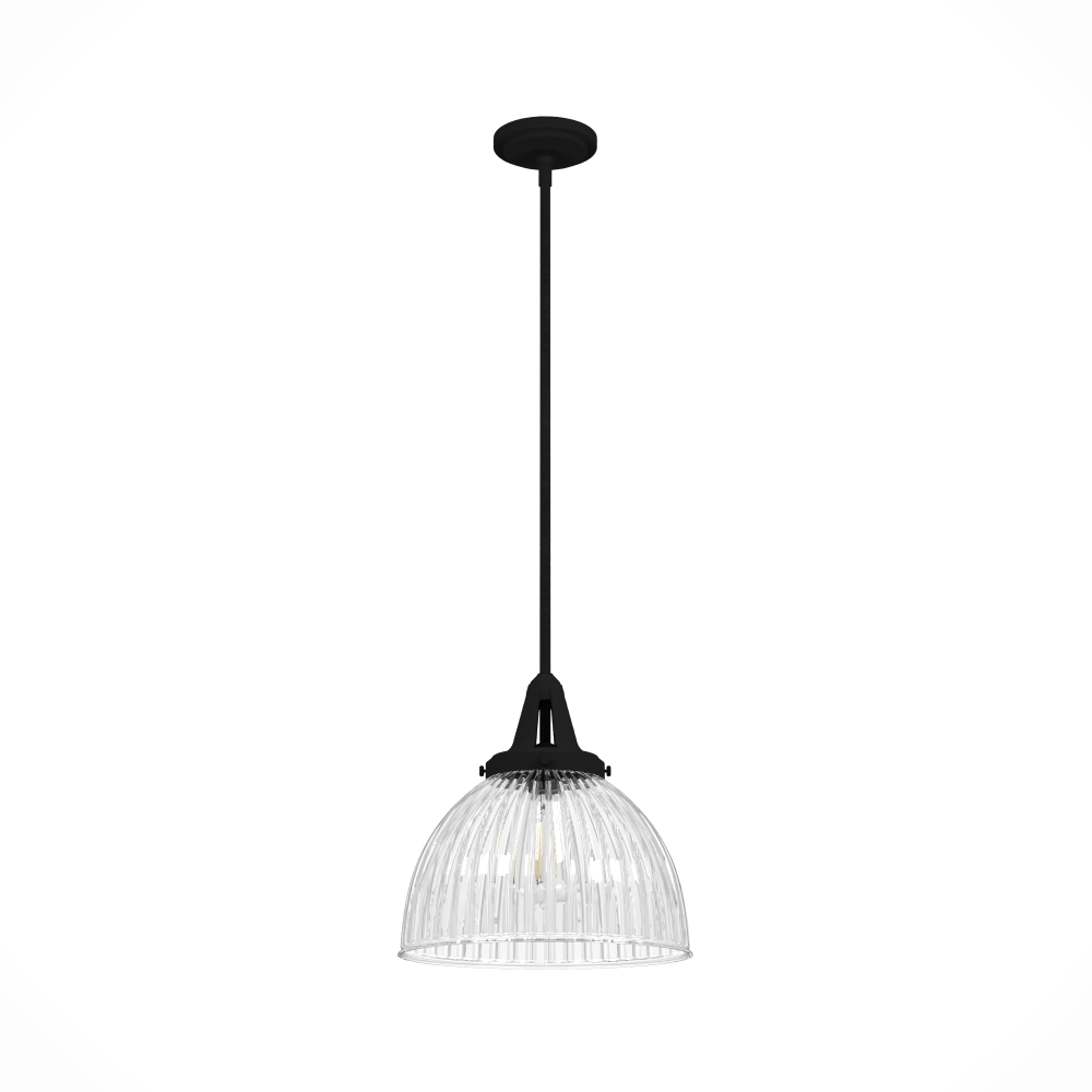 Hunter Cypress Grove Natural Black Iron with Clear Holophane Glass 1 LT Pendant Ceiling LT Fixture