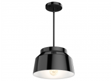 Hunter 19025 - Cranbrook 1 Light Pendant