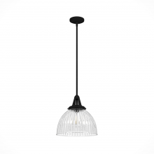 Hunter 19249 - Hunter Cypress Grove Natural Black Iron with Clear Holophane Glass 1 Light Pendant Ceiling Light