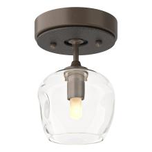 Hubbardton Forge 121372-SKT-05-20-ZM0709 - Ume 1-Light Semi-Flush