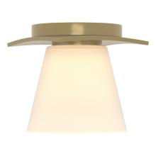 Hubbardton Forge 126601-SKT-86-GG0242 - Wren Flush Mount