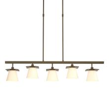 Hubbardton Forge 136605-SKT-SHRT-84-GG0242 - Wren 5 Light Pendant