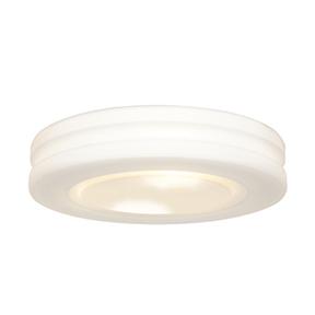 LED Flush Mount