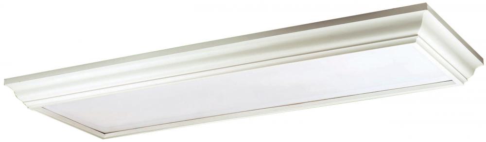 White Fluorescent Light