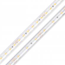 Diode Led DI-24V-BLBSC2-27-W100 - STRIP/TAPE LIGHT