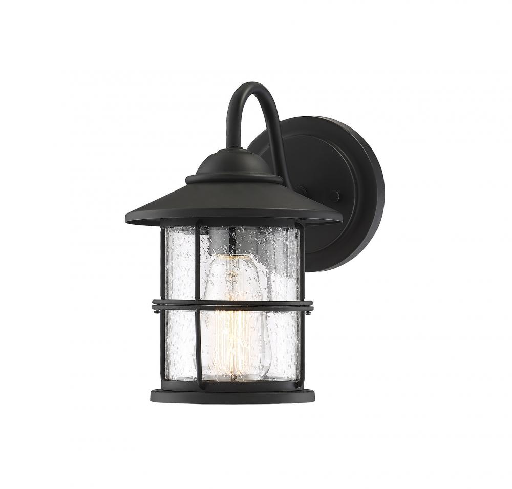 1-Light Outdoor Wall Lantern in Matte Black