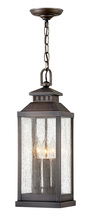 Hinkley 1182BLB - Medium Hanging Lantern