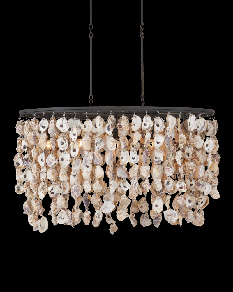 Stillwater Oyster Shell Oval Chandelier